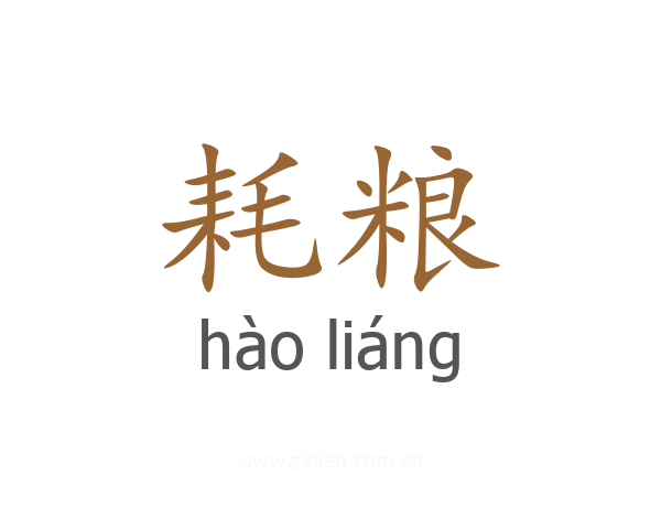 耗粮