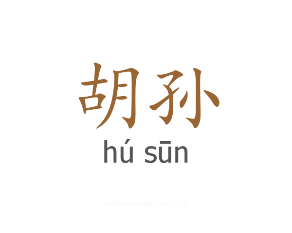 胡孙