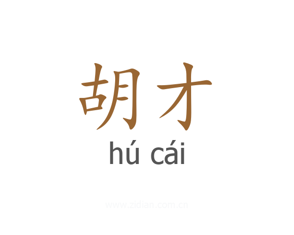 胡才