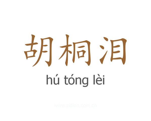 胡桐泪