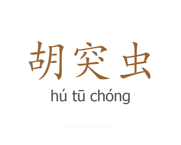 胡突虫
