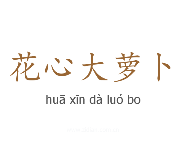 花心大萝卜