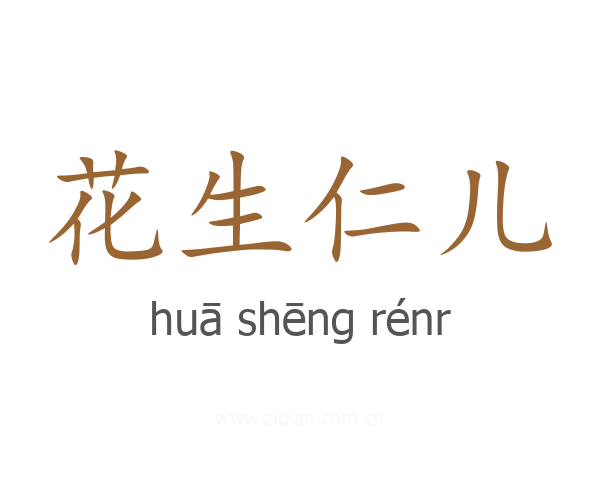 花生仁儿