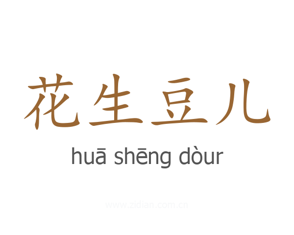 花生豆儿