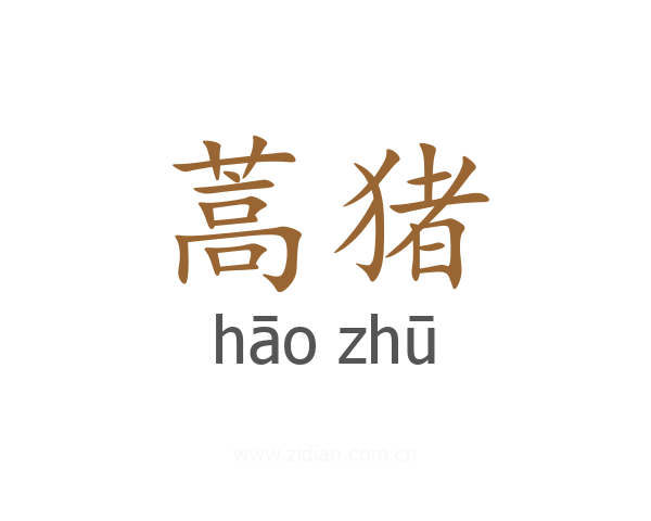 蒿猪