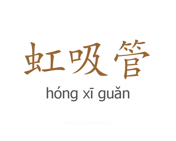 虹吸管