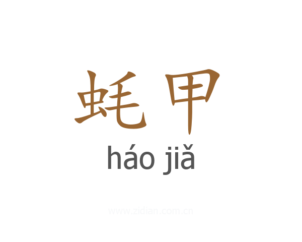 蚝甲