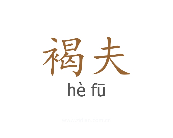 褐夫