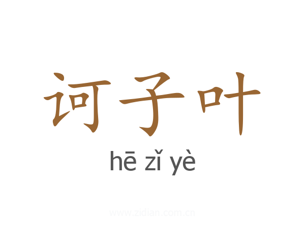 诃子叶