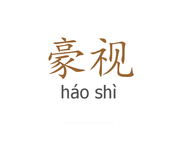 豪视