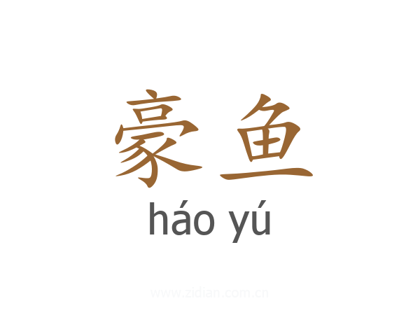豪鱼
