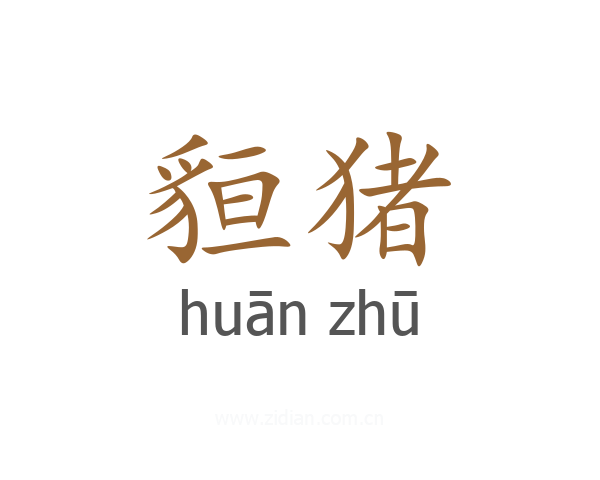 貆猪