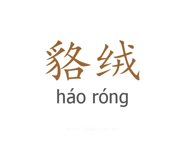 貉绒