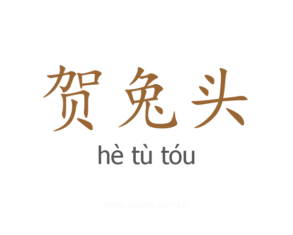 贺兔头