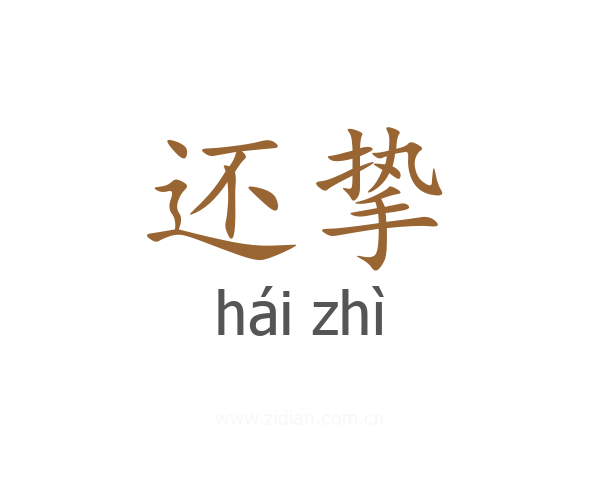 还挚