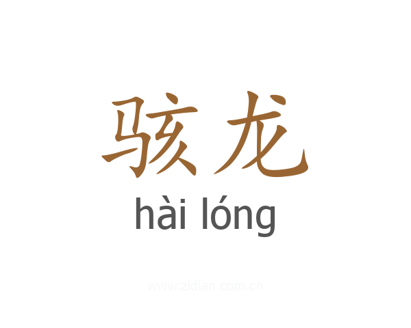 骇龙