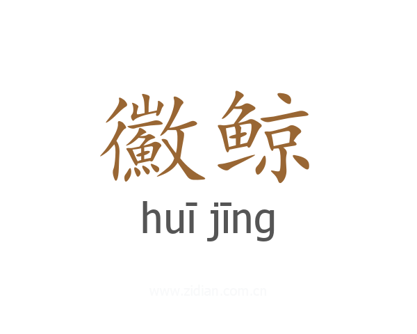鰴鲸