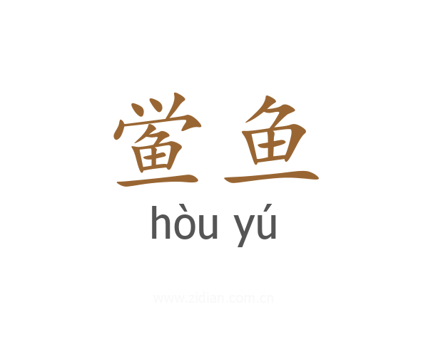 鲎鱼