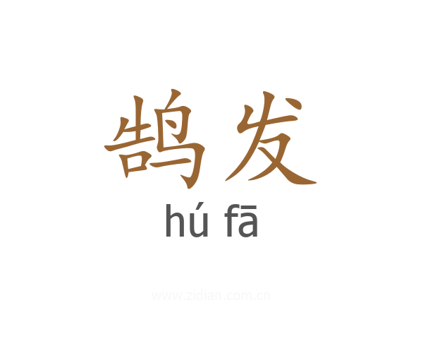 鹄发