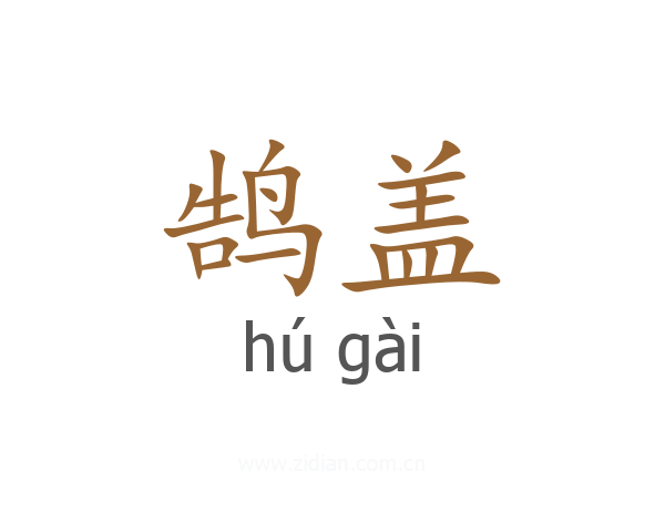 鹄盖
