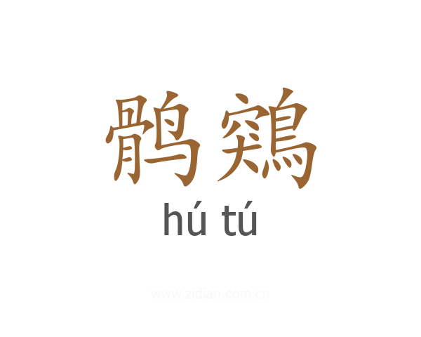 鹘鶟