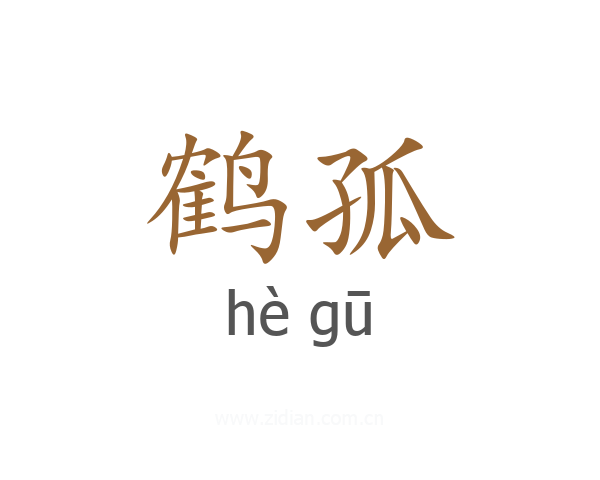 鹤孤