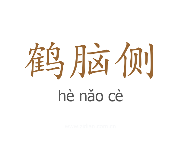 鹤脑侧