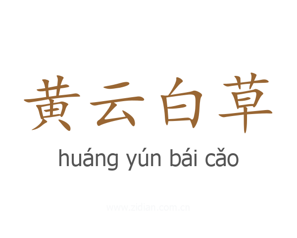黄云白草