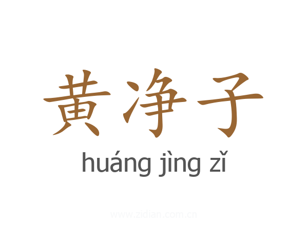 黄净子