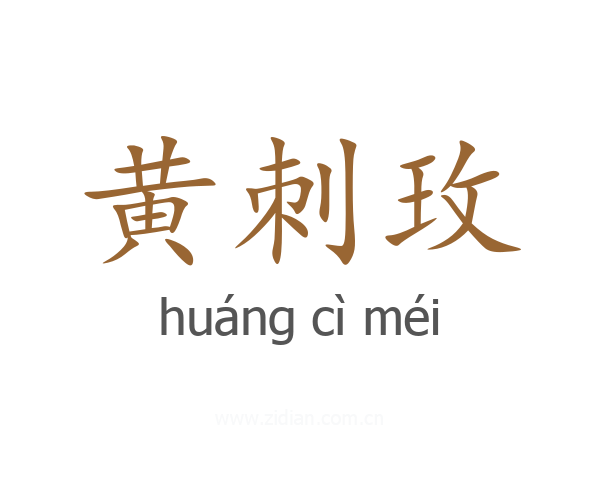黄刺玫
