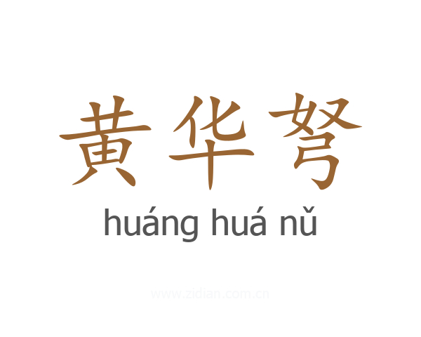 黄华弩