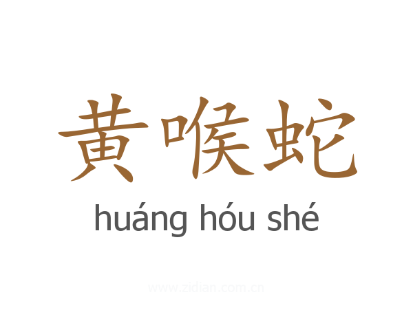 黄喉蛇