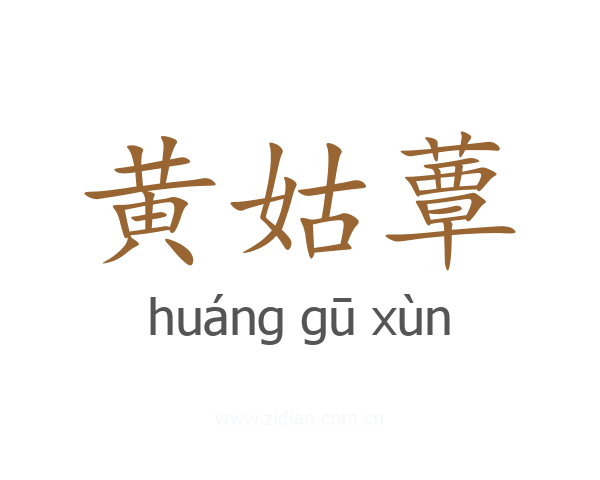 黄姑蕈