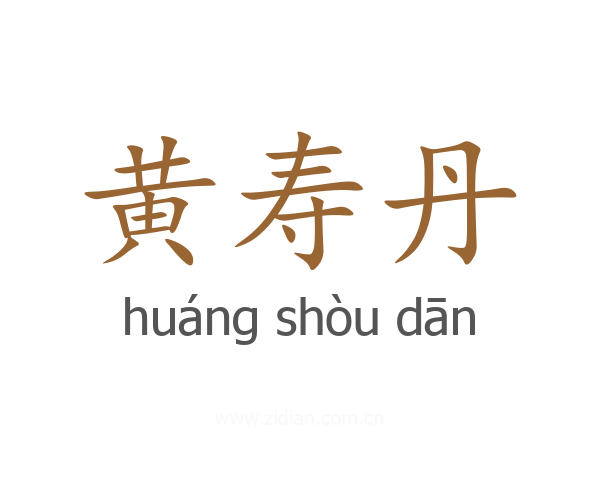 黄寿丹