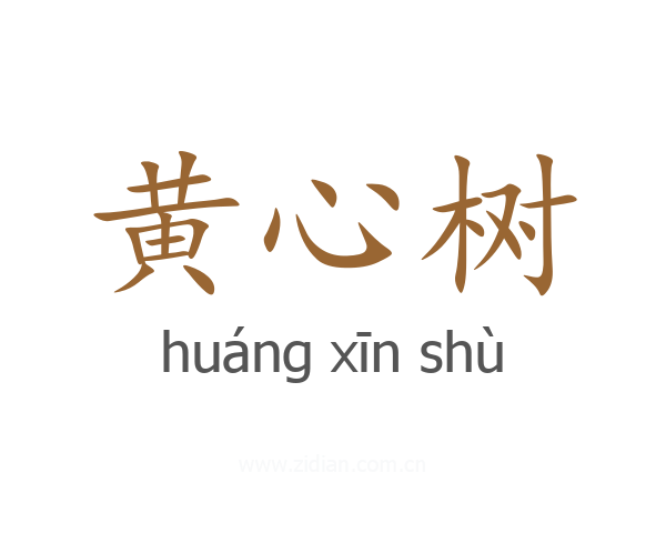 黄心树