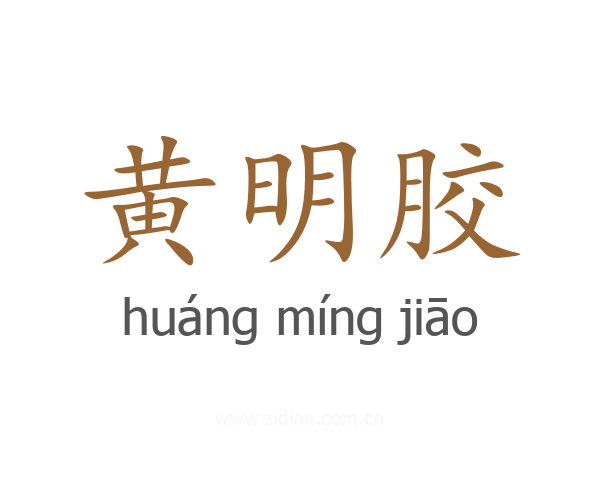 黄明胶
