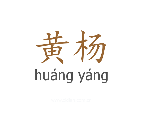 黄杨