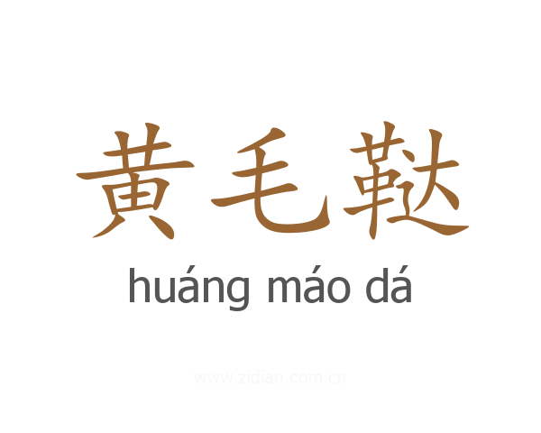 黄毛鞑