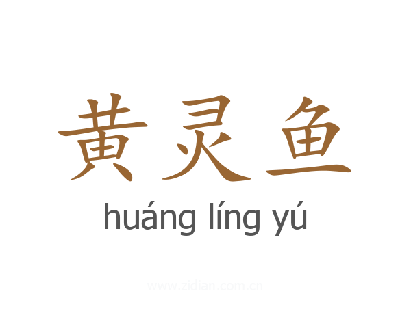 黄灵鱼