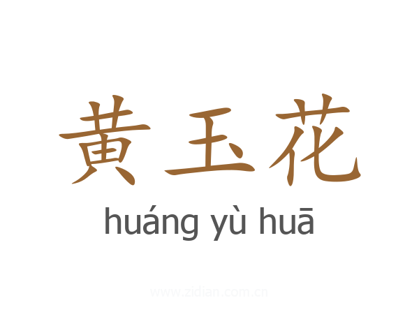 黄玉花