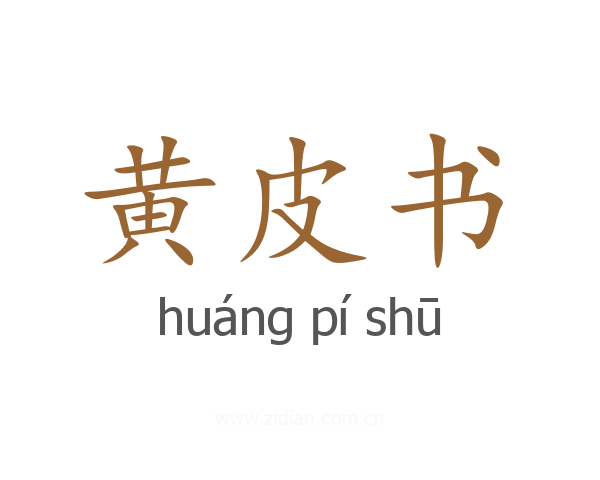 黄皮书