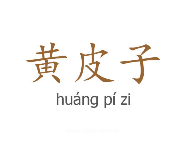 黄皮子