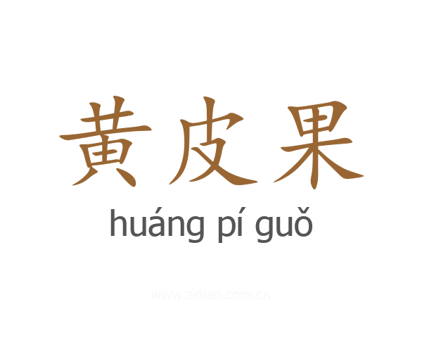 黄皮果