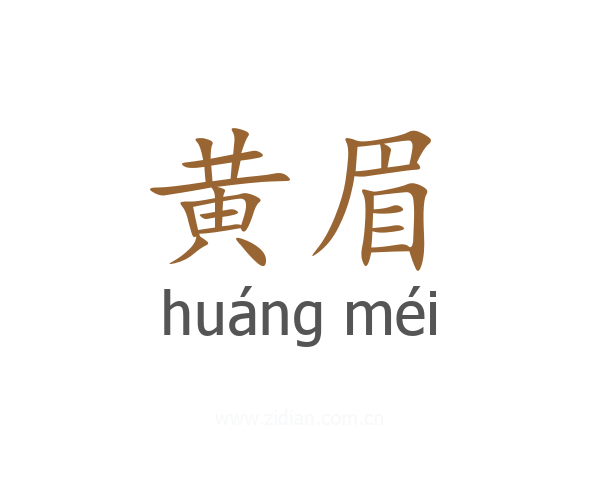 黄眉