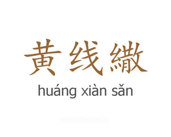 黄线繖