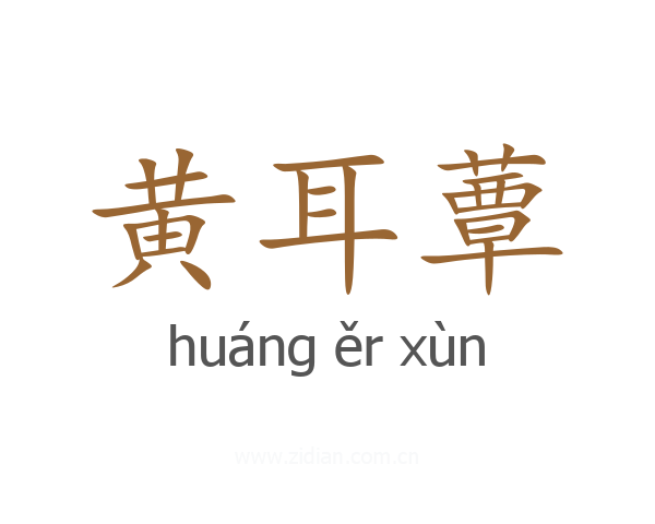黄耳蕈