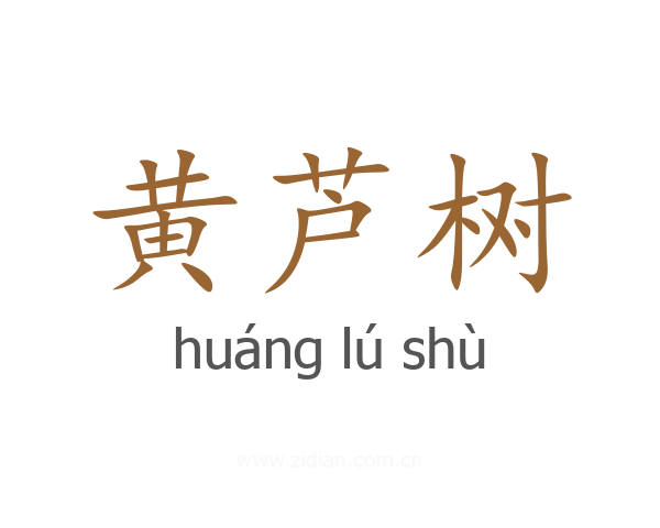 黄芦树