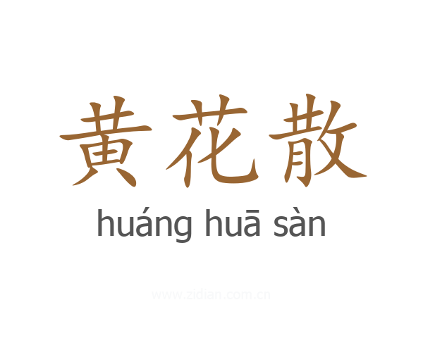 黄花散