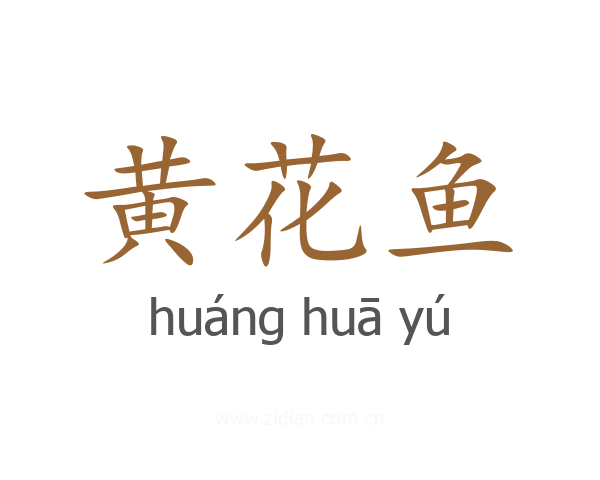 黄花鱼