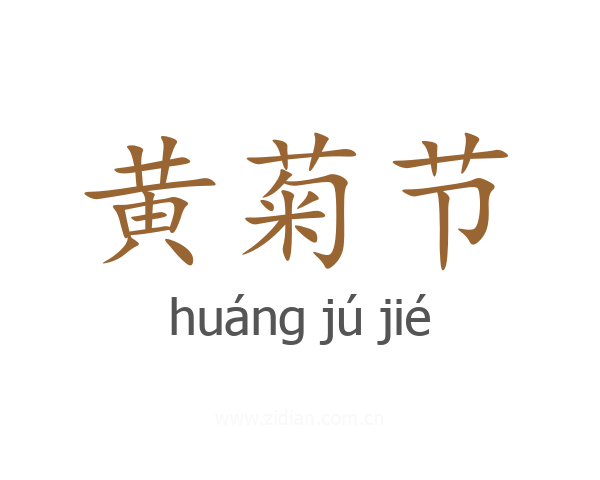 黄菊节